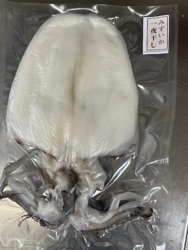 画像1: みずいか一夜干し　900円