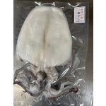 画像: みずいか一夜干し　2100円